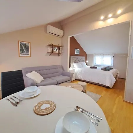 公寓 Casa Antonio With Swimming Pool Novigrad Istria