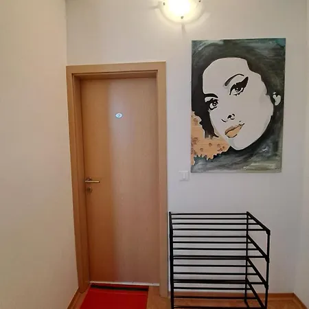 Casa Antonio With Swimming Pool 公寓 Novigrad Istria